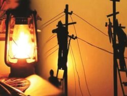 संगमेश्वर : शुक्रवारी दिवसभर वीजपुरवठा खंडित राहणार, विविध कामांसाठी महावितरणचा निर्णय