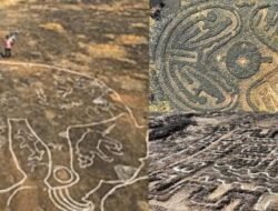 कोकणातील कातळशिल्पांना मिळणार जागतिक ओळख