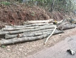 दापोली : न्यायप्रविष्ट वक्फ जमिनीवर मोठ्या प्रमाणात वृक्षतोड, उटंबर येथील दर्गा देवस्थान प्रकरणी मकबूल दिनवारे यांची वनविभागाकडे तक्रार, दोषींवर कठोर कारवाईची मागणी