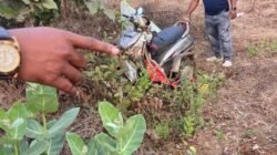 खेडमध्ये दुचाकीचा अपघात, गाडीतून पडले जनावराच्या मांसाचे तुकडे?