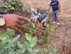 खेडमध्ये दुचाकीचा अपघात, गाडीतून पडले जनावराच्या मांसाचे तुकडे?