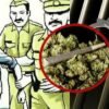 दापोली : अंमली पदार्थाचे सेवन करताना एकाला रंगेहाथ पकडले