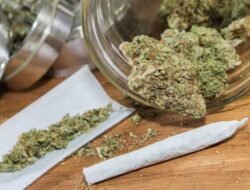 चिपळूण: गोवळकोट येथे गांजा सेवन करणाऱ्या तरुणावर कारवाई