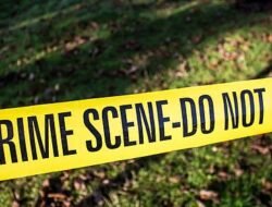 दापोली : 3 महिन्यांपासून बेपत्ता असलेल्या व्यक्तीचा जंगलात आढळला मृतदेह