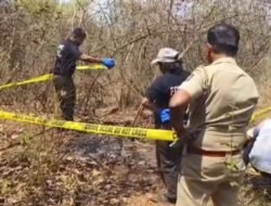 चिपळूण : रामपूर जंगलात हाडांसह अंगठ्या आणि कृत्रिम दात सापडल्याने नरबळीचा संशय की अन्य गुन्हा?