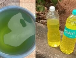 खेड : लोटे औद्योगिक वसाहतीत रासायनिक सांडपाणी प्रकरण : ग्रामस्थ सुरक्षित, तपासणी अहवालाची प्रतीक्षा