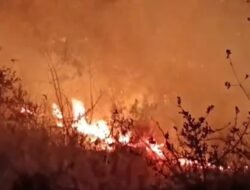 चिपळूण : वणव्यात होरपळून 70 वर्षीय महिलेचा दुर्दैवी मृत्यू