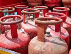 गुहागर : तालुक्यात गॅस सिलेंडर चोरीची घटना, नागरिकांमध्ये भीती, शृंगारतळीतील एक घटना समोर