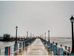 रत्नागिरी : मांडवी जेटीवर आत्महत्येचा प्रयत्न; नागरिकांच्या सतर्कतेने महिलेचा जीव वाचला