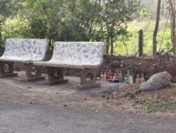 दापोली : वन विभाग कार्यालयाजवळील रस्ता बनला ‘तळीरामांचा अड्डा’; नागरिकांमध्ये संताप