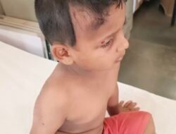 मंडणगडमध्ये मोकाट कुत्र्यांची दहशत; 4 वर्षीय बालकाला चावा, नागरिकांमध्ये भीतीचे वातावरण