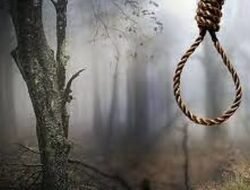 राजापूर : आंब्याच्या बागेत 68 वर्षीय व्यक्तीची गळफास घेऊन आत्महत्या