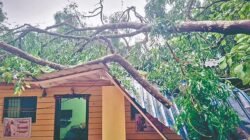 लांजा : येथे वादळी वारा आणि अवकाळी पावसाचा तडाखा, घरावरील पत्रे उडून नुकसान