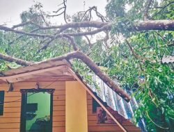लांजा : येथे वादळी वारा आणि अवकाळी पावसाचा तडाखा, घरावरील पत्रे उडून नुकसान
