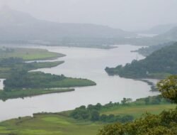 चिपळूण : वाशिष्टी नदीपात्रात वृद्ध महिलेचा मृतदेह आढळला