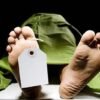 दापोली : बंद घरात वृद्धेचा कुजलेल्या अवस्थेत मृतदेह