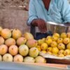 दापोली : बाजारात कर्नाटकी हापूस आंब्यांची आवक
