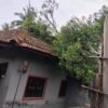 मंडणगड : तालुक्यात अवकाळी पावसाचा तडाखा, आंबा-काजू बागायतींसह घरांचे मोठे नुकसान