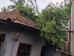 मंडणगड : तालुक्यात अवकाळी पावसाचा तडाखा, आंबा-काजू बागायतींसह घरांचे मोठे नुकसान