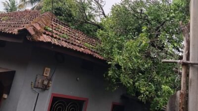 मंडणगड : तालुक्यात अवकाळी पावसाचा तडाखा, आंबा-काजू बागायतींसह घरांचे मोठे नुकसान