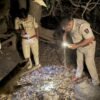 खेड : साखरोलीत मानवी हाडे आढळल्याने खळबळ, पोलिसांकडून तपास सुरू
