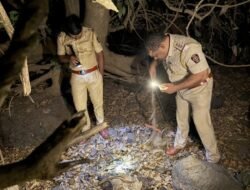 खेड : साखरोलीत मानवी हाडे आढळल्याने खळबळ, पोलिसांकडून तपास सुरू