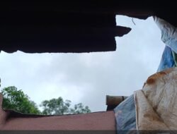 गुहागर : तालुक्यात आपत्तींची मालिका; झाडे कोसळून घरांचे नुकसान