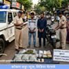 दापोली : पोलिसांची मोठी कारवाई, गांजासह दोघे जेरबंद , 66 हजारांचा मुद्देमाल जप्त