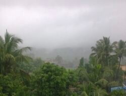 रत्नागिरी : जिल्ह्यात पावसाचा जोर, रत्नागिरी आणि गुहागरमध्ये सर्वाधिक 75.88 मिमी पर्जन्यमान