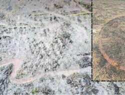 लांजा : कांटे गावात अश्मयुगीन कातळशिल्पांचा अनमोल ठेवा; ५ ठिकाणी सापडली ६७ दुर्मीळ शिल्पे
