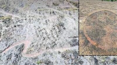 लांजा : कांटे गावात अश्मयुगीन कातळशिल्पांचा अनमोल ठेवा; ५ ठिकाणी सापडली ६७ दुर्मीळ शिल्पे