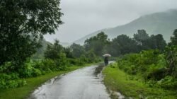 रत्नागिरी जिल्ह्यात पावसाची दमदार हजेरी, सहा तालुक्यांनी ओलांडली शंभरी