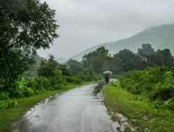 रत्नागिरी जिल्ह्यात पावसाची दमदार हजेरी, सहा तालुक्यांनी ओलांडली शंभरी