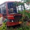 रत्नागिरी-बोरिवली एसटीचा चाफे-कातळवाडीत अपघात, एक प्रवासी जखमी