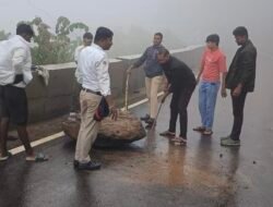 रत्नागिरी : आंबा घाटात दगड कोसळला, पोलिसांसह तासगावच्या तरुणांच्या धाडसी मदतीने टळली मोठी दुर्घटना
