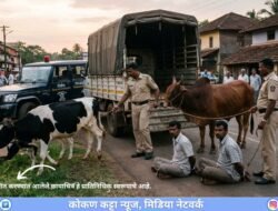 दापोली : जनावरांच्या अवैध वाहतुकीवर पोलिसांची कारवाई, बैल, गाय व पाडीची सुटका, मंडणगड, महाड येथील दोघांना अटक
