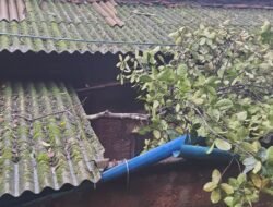 लांजा : वादळी वाऱ्यासह मुसळधार पावसाचा लांजाला तडाखा; झाडे कोसळून वाहतूक ठप्प, वीजपुरवठाही विस्कळीत
