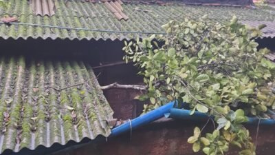 लांजा : वादळी वाऱ्यासह मुसळधार पावसाचा लांजाला तडाखा; झाडे कोसळून वाहतूक ठप्प, वीजपुरवठाही विस्कळीत