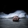 चिपळूण : फणस काढताना झाडावरून पडल्याने व्यक्तीचा मृत्यू