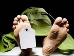 दाभोळ : समुद्रकिनारी अज्ञात इसमाचा मृतदेह आढळला, दाभोळ सागरी पोलिसांकडून ओळख पटविण्याचे प्रयत्न