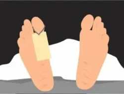 चिपळूण : शस्त्रक्रियेनंतर प्रकृती खालावली, चिपळूण तालुक्यातील महिलेचा उपचारादरम्यान मृत्यू
