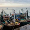कोकण : खोल समुद्रातील मासेमारीला उद्यापासून 1 ऑगस्टपासून परवानगी किनारी जलक्षेत्रात 15 ऑगस्टपर्यंत निर्बंध कायम