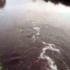 चिपळूण : लोटे एमआयडीसीतील प्रदूषण पुन्हा ऐरणीवर; सोनगावात पिवळे रसायनमिश्रित पाणी सोडल्याचा आरोप, ग्रामस्थ, मच्छीमार संतप्त