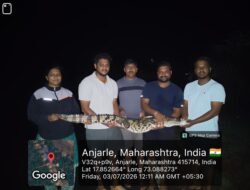 दापोली : आंजर्ले-बिरवाडी येथे मगर सुरक्षितरीत्या पकडून नैसर्गिक अधिवासात सोडली, WAR संस्था व वन विभागाची तत्पर कारवाई