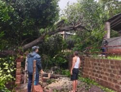 दापोली : मांदिवलीमध्ये तीन दिवसांपासून विजेच्या तारा रस्त्यावर लोंबकळत; मोठ्या दुर्घटनेची भीती