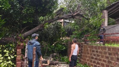 दापोली : मांदिवलीमध्ये तीन दिवसांपासून विजेच्या तारा रस्त्यावर लोंबकळत; मोठ्या दुर्घटनेची भीती