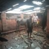 दापोलीतील माथेगुजर येथे वादळाचा तडाखा; गोठ्याचे २७ पत्रे उडाले, सुदैवाने जीवितहानी टळली