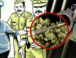 चिपळूण : रेल्वे स्थानकासमोर 530 ग्रॅम गांजासह एक जण अटकेत, एनडीपीएस कायद्यान्वये गुन्हा दाखल