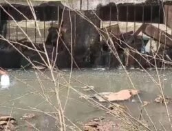 खेड : लोटे औद्योगिक वसाहतीत कोकाकोला कंपनीचे दुर्गंधीयुक्त सांडपाणी उघड्यावर