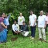 दापोली : सीईओ वैदेही रानडे यांची मांदिवलीच्या बांबू प्रकल्पाला भेट, शाश्वत शेतीच्या उपक्रमाचे कौतुक, मनरेगाअंतर्गत 50 एकरांवरील बांबू लागवडीची पाहणी